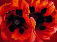 O Keeffe, Georgia - Oriental Poppies